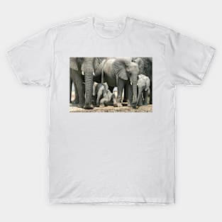 Cute little elephants T-Shirt